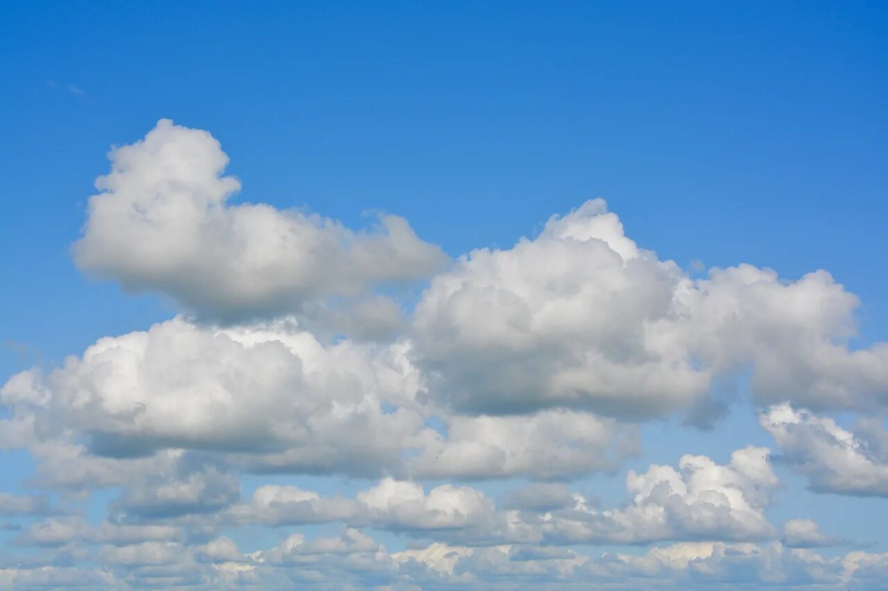 Кучевые облака облака. Белые Кучевые облака. Stratus Cumulus. Перисто Кучевые кучевообразные облака.