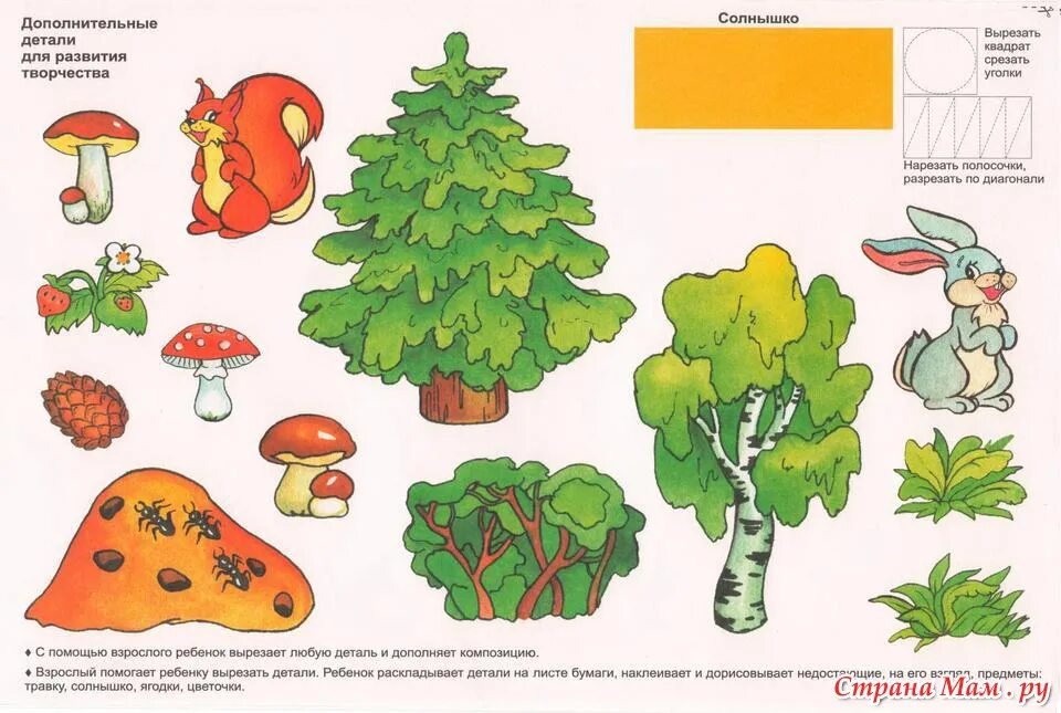 Грибы подготовительная группа. Деревья задания для дошкольников. Грибы задания для дошкольников. Лесные аппликации для малышей. Деревья занятия для дошкольников.