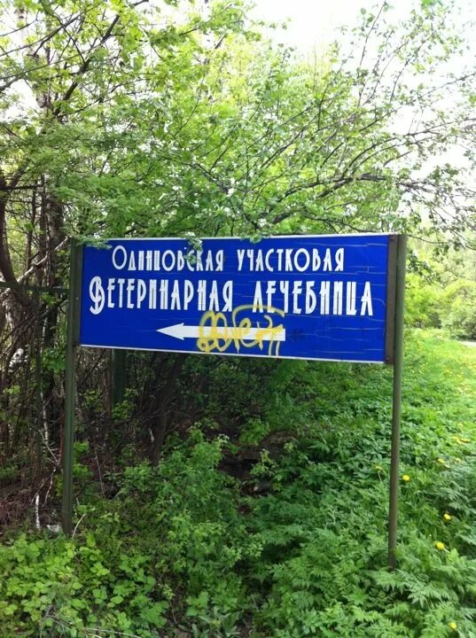Участковая ветеринарная лечебница одинцово. Аттестация ветеринарных специалистов. Барышевская участковая ветеринарная лечебница. Терветуправление 1 одинцово. Участковая ветеринарная лечебница одинцово.