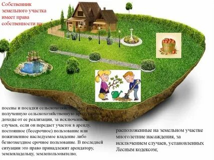 Земля совладельцы
