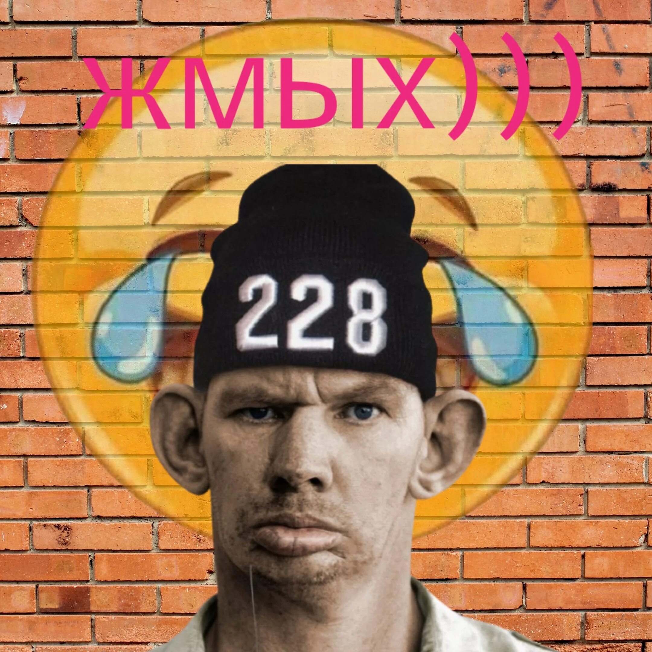 Болотов лнр 2014. Хлопковый жмых. Жмых этикетка. Жмых рапсовый. Жмых подсолнечника для скотины.