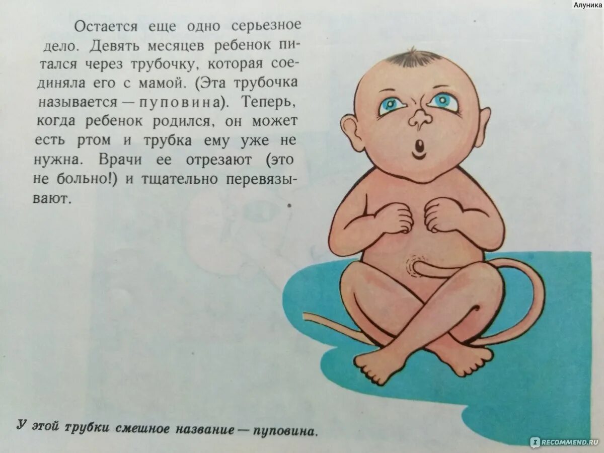 Откуда появляются дети. Детская книга откуда берутся дети. Откуда берутся дети правда процесс. Как появляются дети для детей.