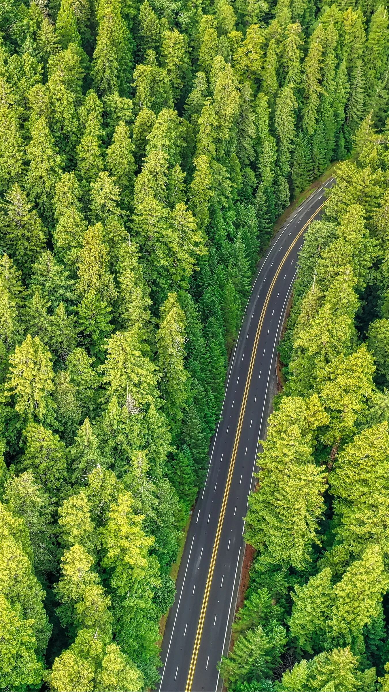 Парк тиргартен в берлине фото. Длинные реки темза в британии. Озеленение парковки. Река вид сверху. Сверху вдоль.