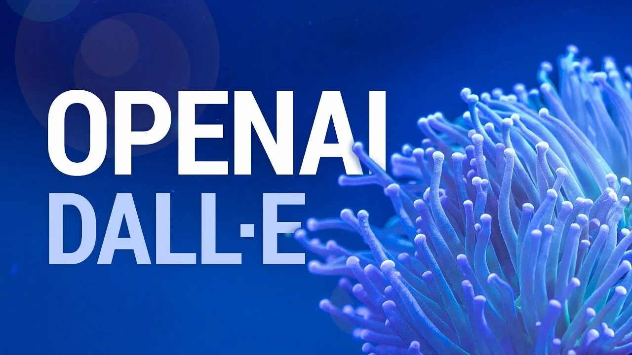 Dall e от openai. Dall e images. openai. работы dall-e.