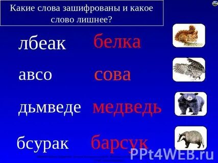 Какие нибудь слова