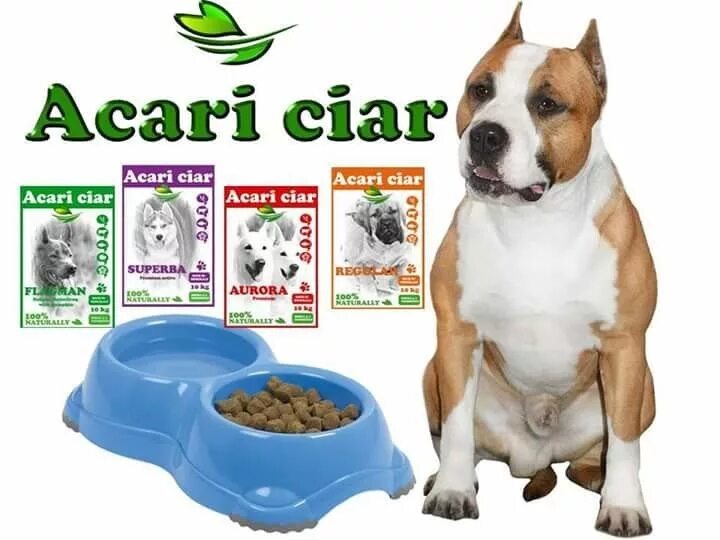 Сухой корм для собак acari ciar. Корм Акари Киар. Acari Ciar корм для собак. Акари корм для собак 25 кг. Акари Киар для собак.