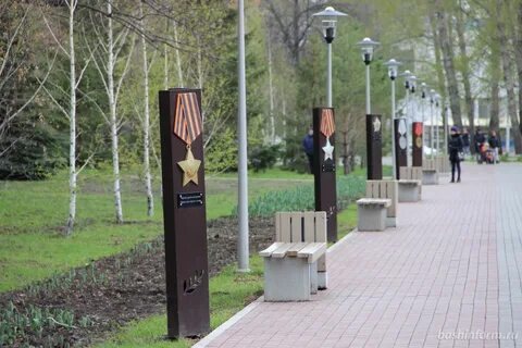 Фото аллея победы