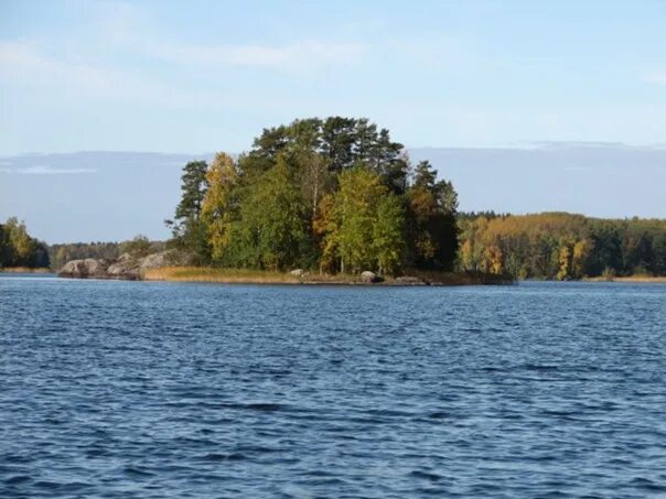 Горовалдайское озеро рыбалка. Барышево новосибирская область. Барышево вуокса. Озеро барышево. Моторное ленинградская область.