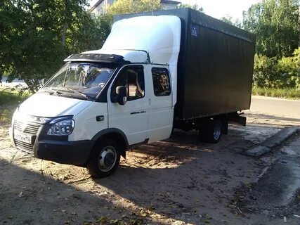 Газель фермер год