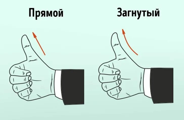 Изгиб пальцев руки. Большой палец руки изогнутый или прямой. Изогнутый большой палец. Большой палец на руке характер человека.