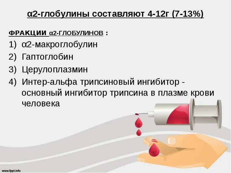 Глобулин это. Фракции Альфа-1 и Альфа-2-глобулинов. Альфа 2 глобулины функции. Α1 глобулины функции. Повышение Альфа 2 глобулинов в крови.