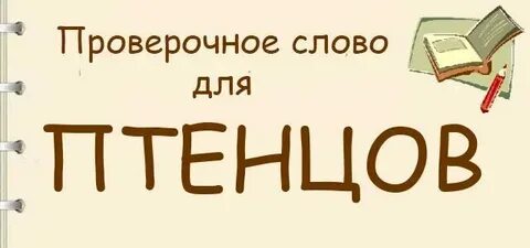 Как правильно пишется слово птенец