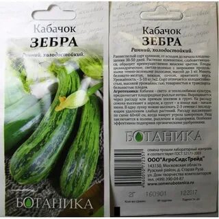 Кабачок зебра описание