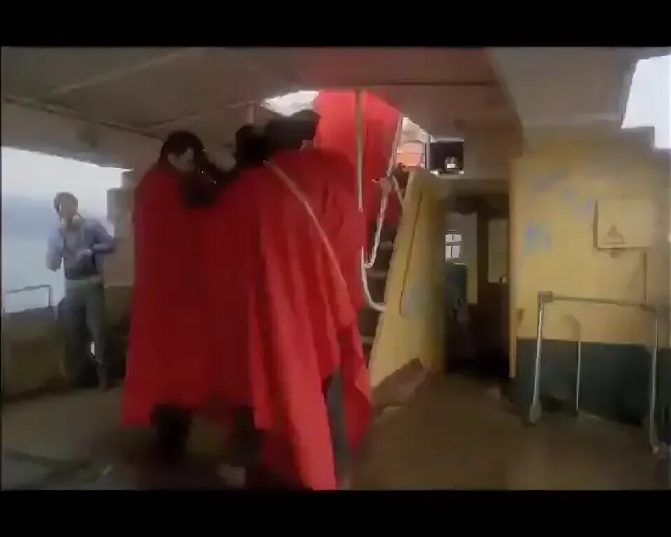 "старик козлодоев". аквариум. старик козлодоев. аквариум. рисунок старик козлодоев.