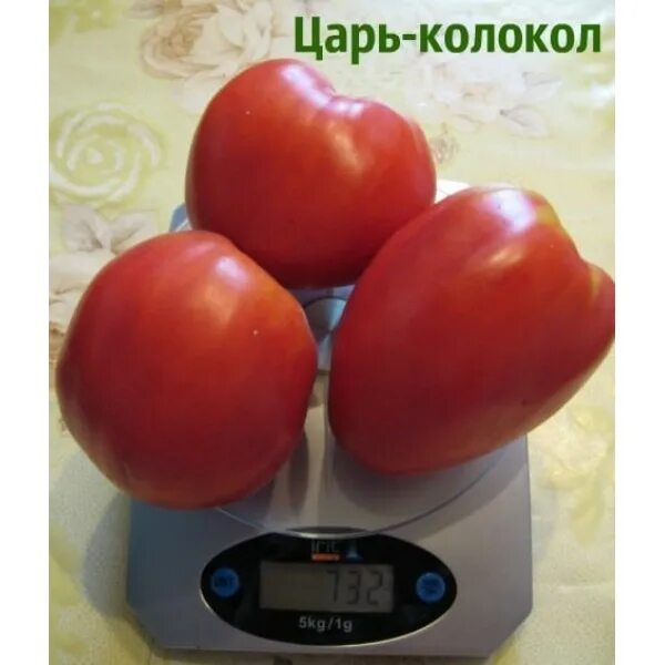 Томат царь колокол описание сорта. Томат царь колокол. смешнойавстралийский томат &quot;царь&quot;. томаты колокола. томат царь горы.