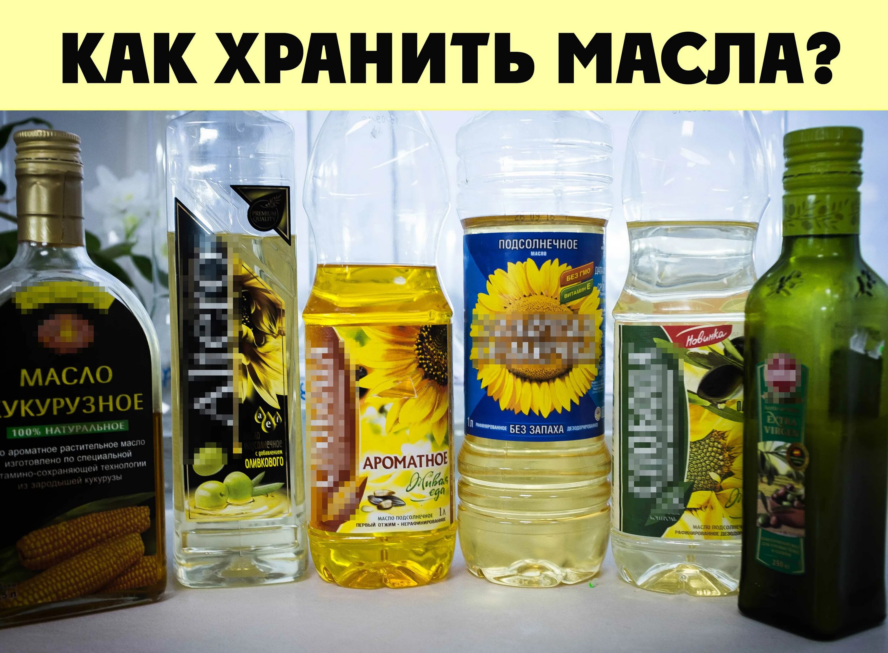 Масло оливковое условия хранения. Хранение подсолнечного масла. Условия хранения и сроки реализации растительных масел. Хранят ли растительное масло в холодильнике. Ассортимент растительных масел.
