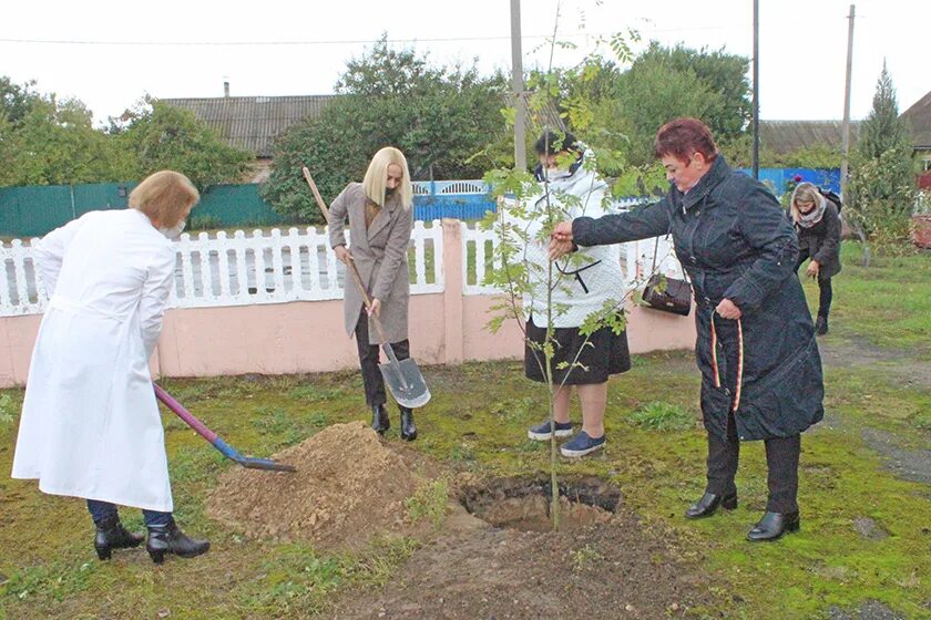 комарине фото. погода в комарине. погода в комарине на 10. погода в комарине на 10. погода в комарине на 10.