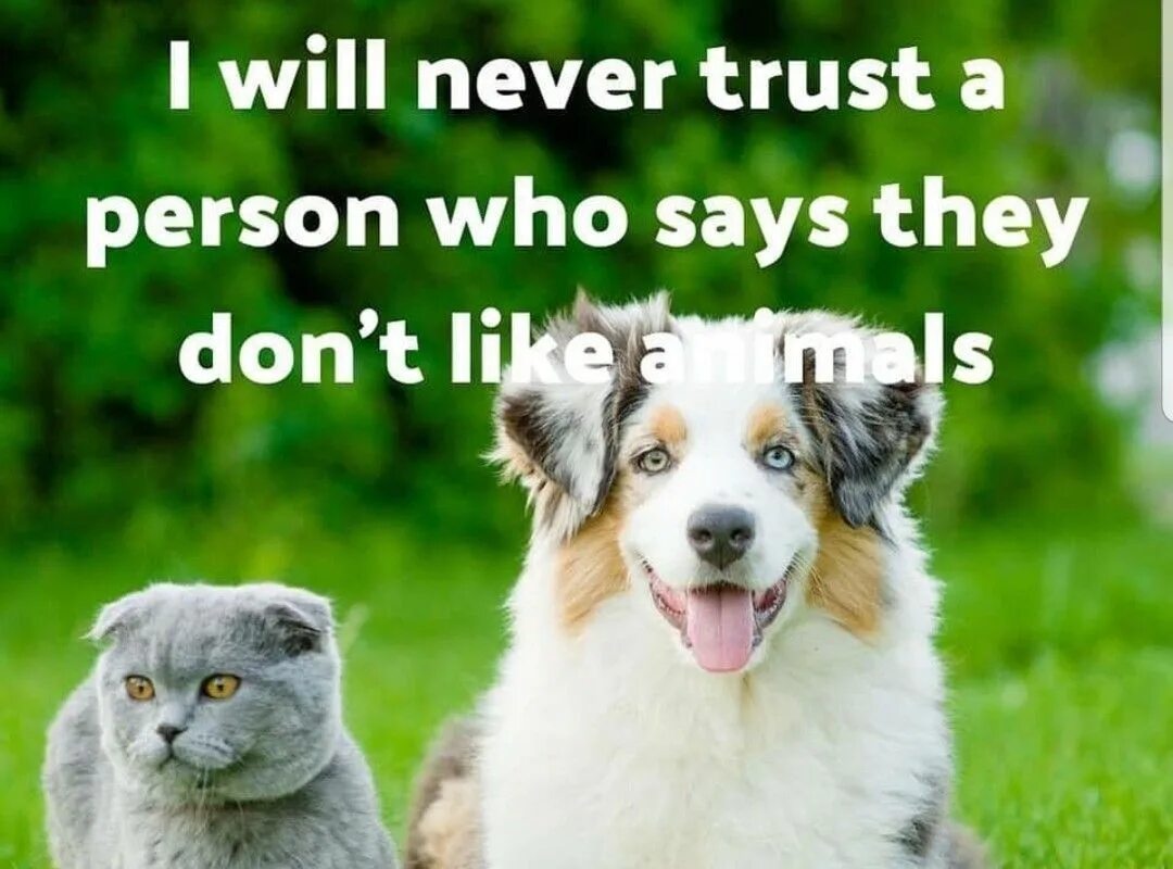 Do they like animals. I don't like people i like animals тату. I don't like Dogs. Don't Trust me. Don't Trust them.