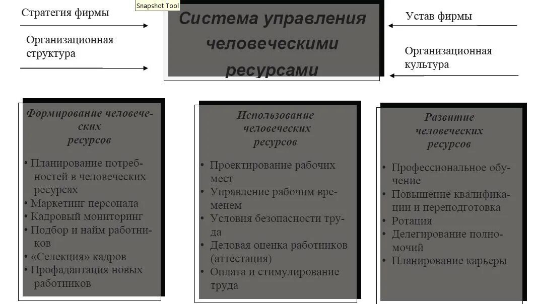 Структуру управления человеческими ресурсами. Система управления человеческими ресурсами. структура управления человеческими ресурсами. элементы системы управления человеческими ресурсами. организационная структура управления человеческими ресурсами.