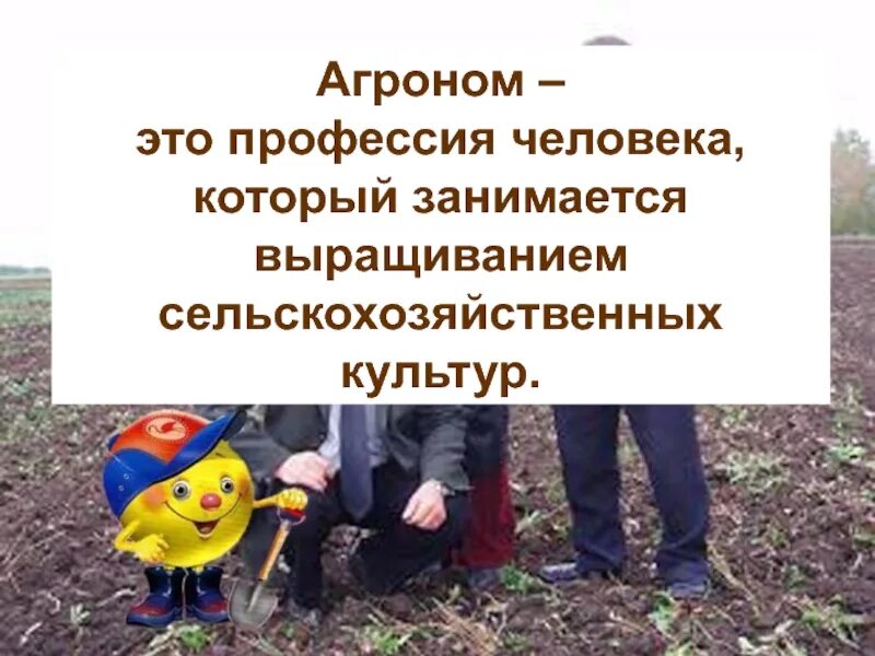 Агроном это кто и чем занимается. Агроном это кто и чем занимается. Сельское хозяйство агроном. Агроном профессия. Сообщение о профессии агроном.