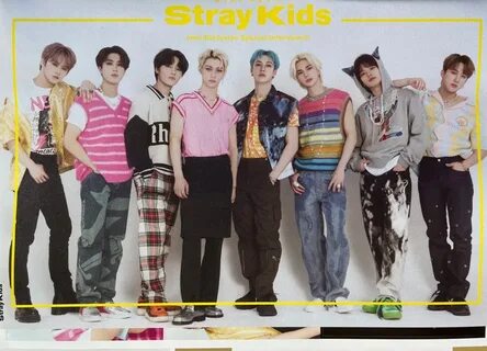 Stray kids everywhere all around