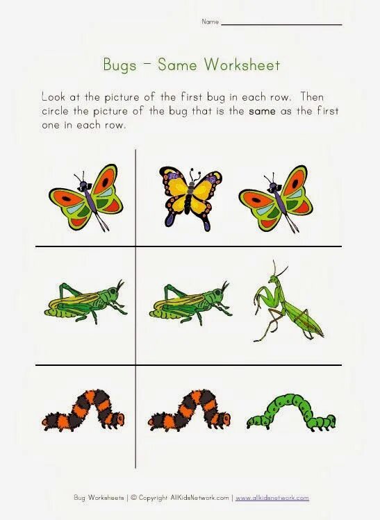 A bug перевод. Insects worksheets. bugs worksheet. bugs and insects worksheet. insects for preschool.