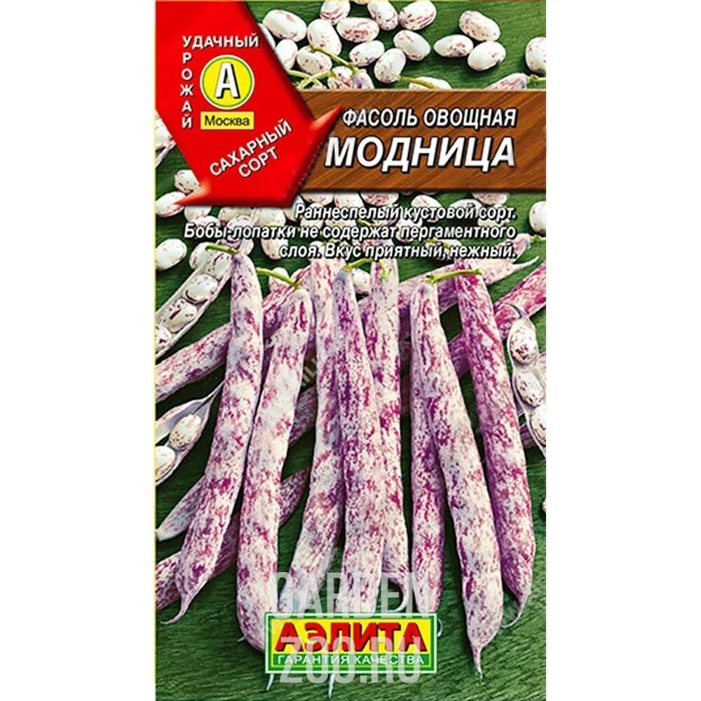 Фасоль кустова. Фасоль кустова