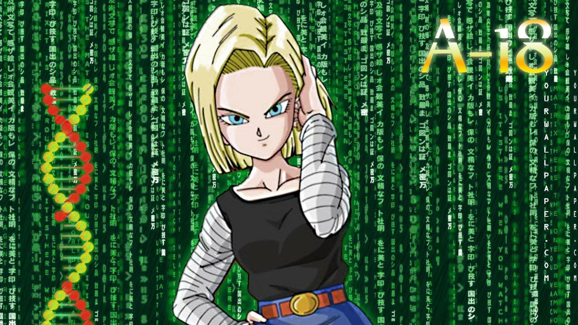 Android 18 simulator. Андроид 18 драгонболл. dragon ball android 18. драгонболл андроид 18 и курилин. аниме драгон бол android 18.