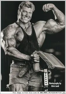 Gunter schlierkamp