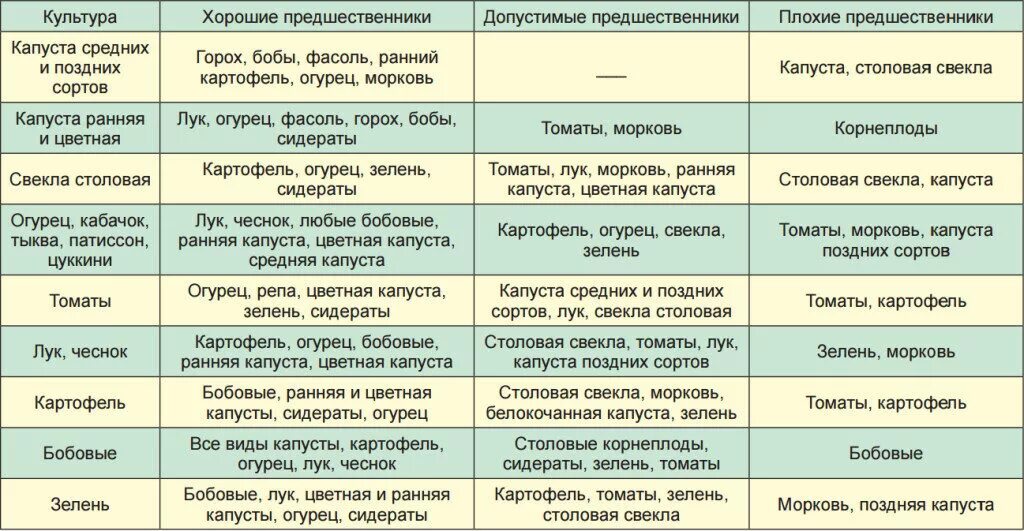 Посадка овощей предшественники таблица. Таблица севооборота овощных культур на огороде предшественники. Таблица севооборота овощных культур на огороде что после чего сажать. Лучшие предшественники для посадки овощей таблица.