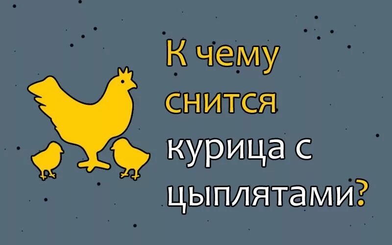 Приснилась курица с цыплятами. Приснилась курица к чему это. К чему снится курица с цыплятами. Приснилось что курица несет яйца. Видеть во сне много куриц