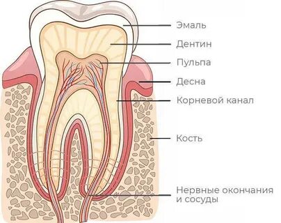 Нағыз орыс армиясы порно