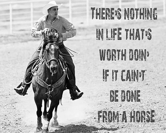 Корпоратив в ковбойском стиле. Пословицы про ковбоев. Фразы ковбоев. Ковбойские фразы. Ковбойские фразы.