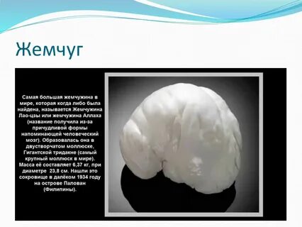 Крупнейшая жемчужина