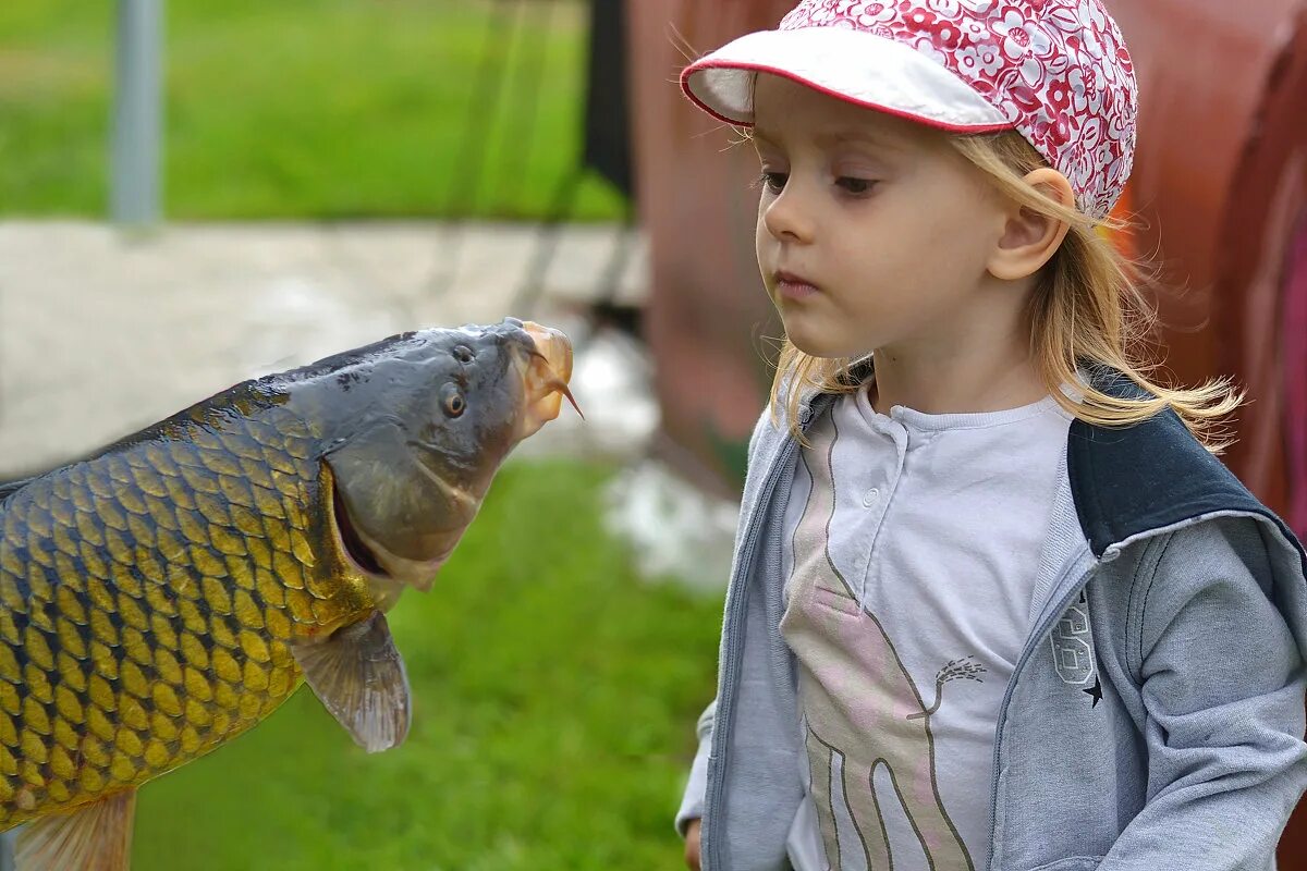 Рыбки для детей. Рыба фото для детей. Александров рыба.