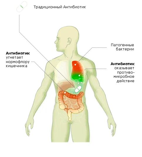 Какой вред может нанести прием антибиотиков. Действие антибиотиков на организм. Влияние антибиотиков на организм человека. Негативное влияние антибиотиков на организм. Воздействие антибиотиков на организм.