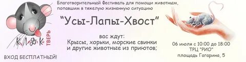 Хвост помощи