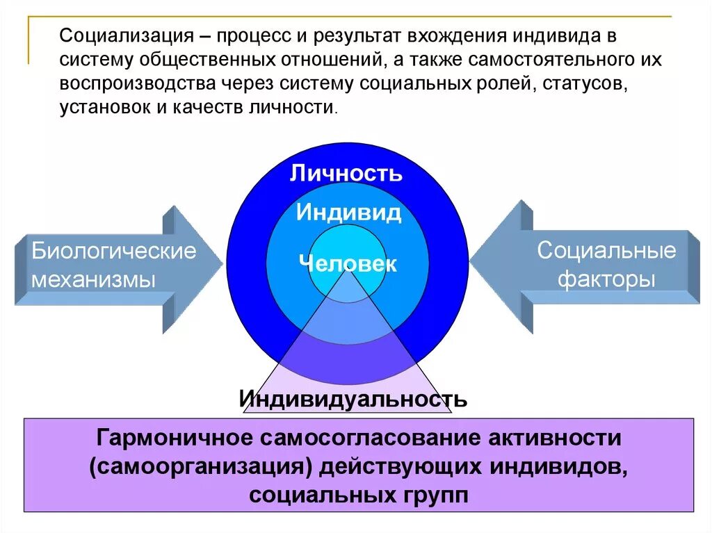 Общество и человек процесс социализации. Социализация. Социализация человека. Роль социализации в общественных отношениях. Процесс социализации индивида.