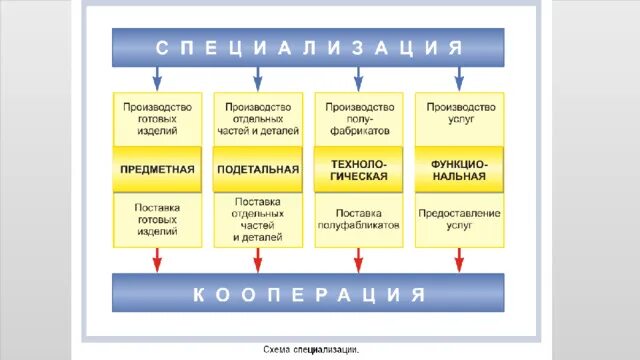 Виды специализации. Виды специализации производства. специализация и кооперирование в машиностроении. виды специализации машиностроения. типы специализации в экономике.