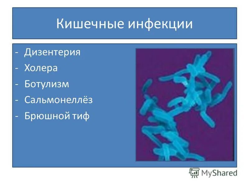 Холера и дизентерия