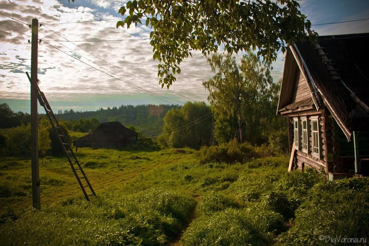 Фото деревни. Деревня деревеньки Костромская область. Лето в деревне. Русская деревня природа. Русская деревня летом.