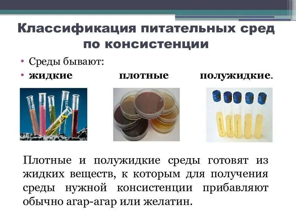 Плотная и жидкая среда. Плотные и жидкие питательные среды микробиология. Полужидкие питательные среды. Полужидкие питательные среды микробиология. Классификация питательных сред по консистенции.