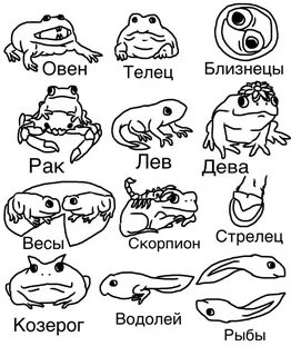 Какая ты лягушка