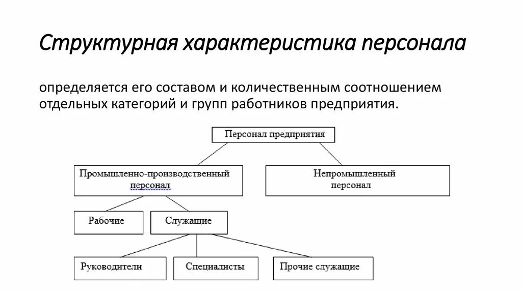 Основной персонал организации это