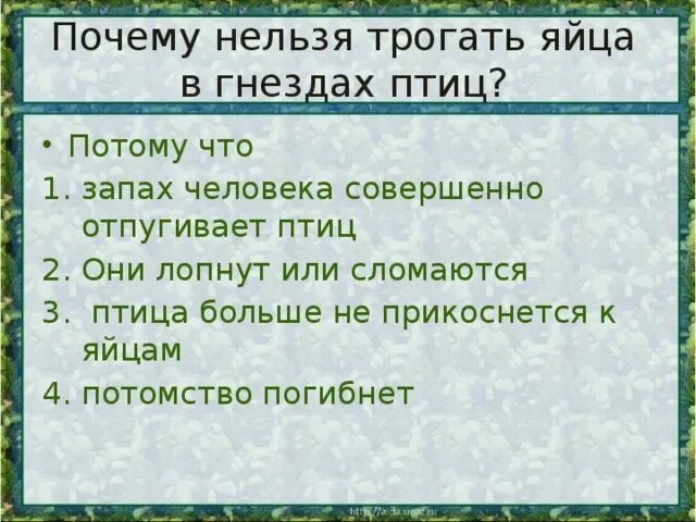 Почему нельзя трогать гнезда птиц. Почему нельзя трогать руками яйца в гнездах. Почему нельзя трогать руками яйца в гнездах диких птиц. Почему нельзя трогать яйца птиц руками. Почему нельзя растить