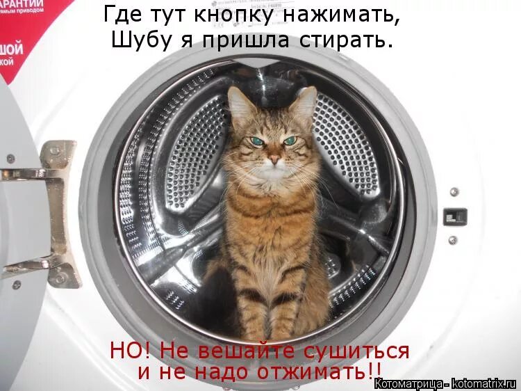 красная кнопка. клавиша backspace на клавиатуре. тепленькая пошла. кнопка не нажимать. где здесь кнопка.