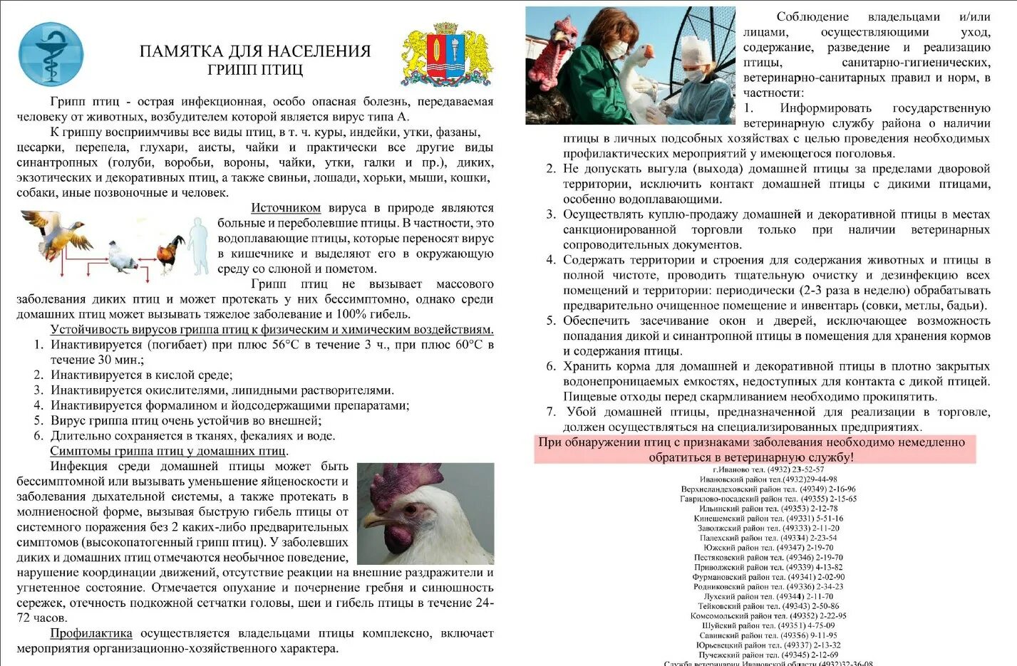 Памятка грипп птиц. Памятки для населения по высокопатогенному гриппу птиц. Профилактика гриппа птиц. Памятка грипп птиц. Памятка птичий грипп для населения.