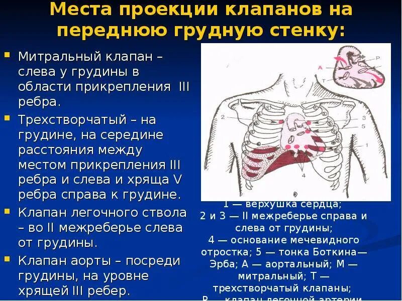 Колет в легких. Боль грудной клетки спереди слева. Болит грудная клетка спереди. Болит правая сторона грудной клетки спереди. Колющие боли в области грудной клетки.