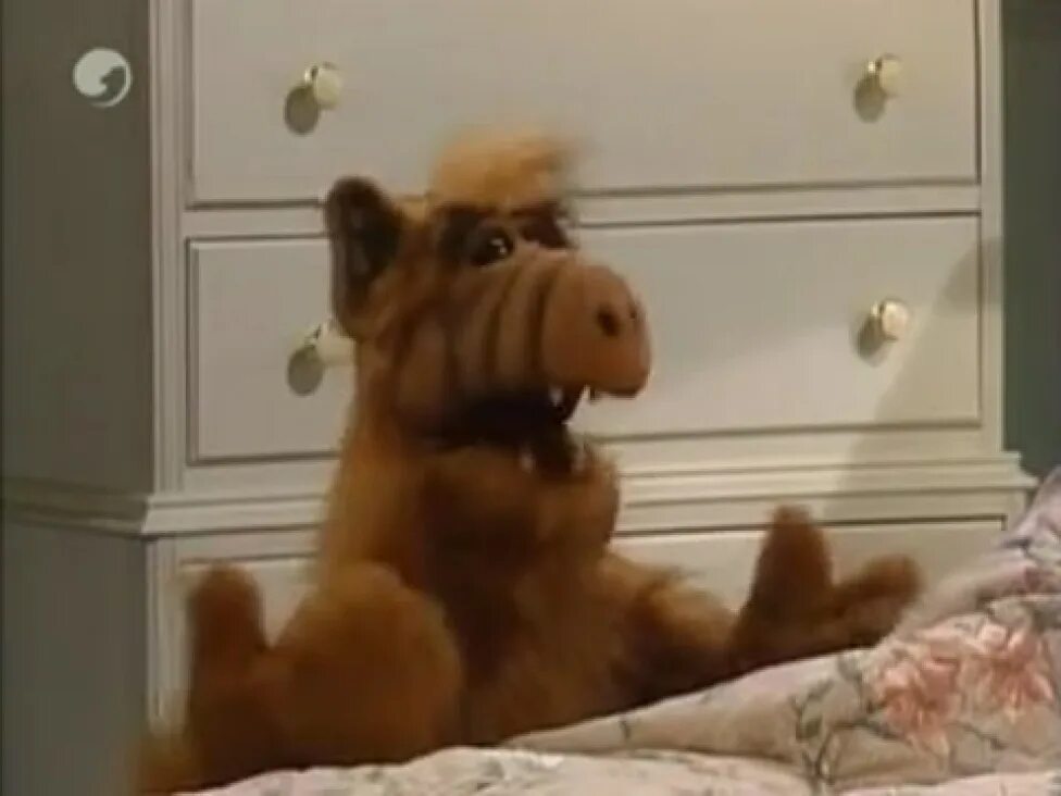 Альф кот бублик. Альф 3 сезон 16. Альф видео обзор. Фильм альф 1 серия. Альф и кот.