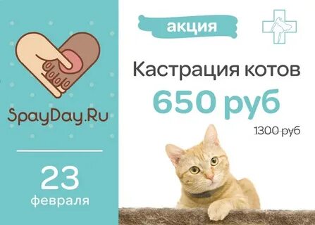 Какой день кастрации